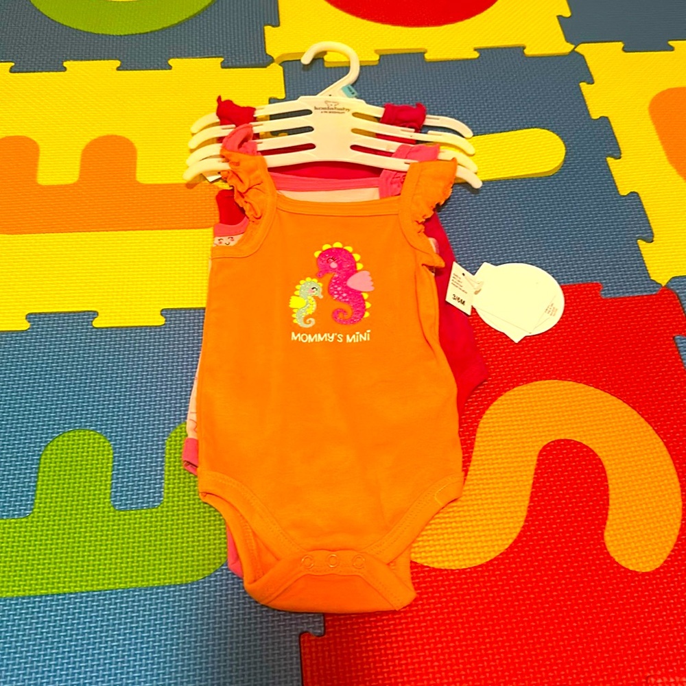 Summer Onesies 3pc